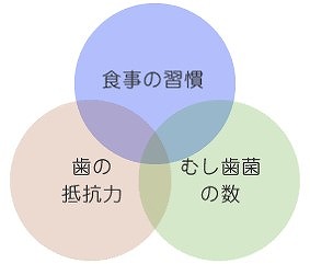 むし歯ができる原因